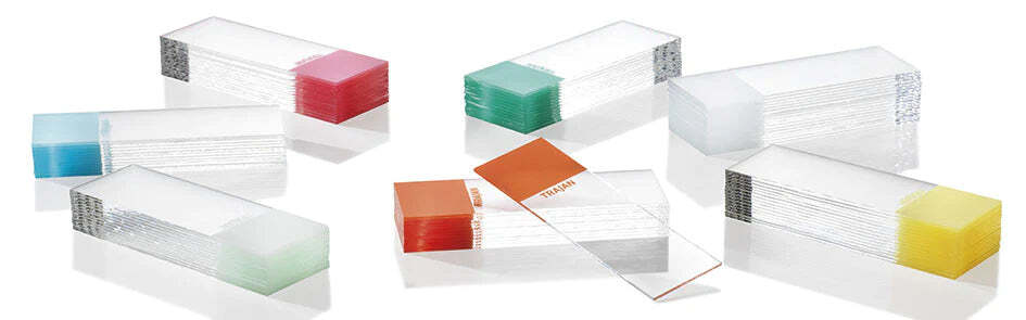 Blog post image